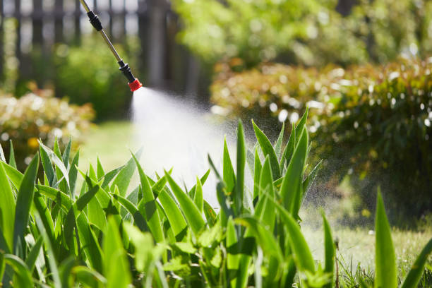 Tamper-Resistant Bait Stations for Rodents in Irwin