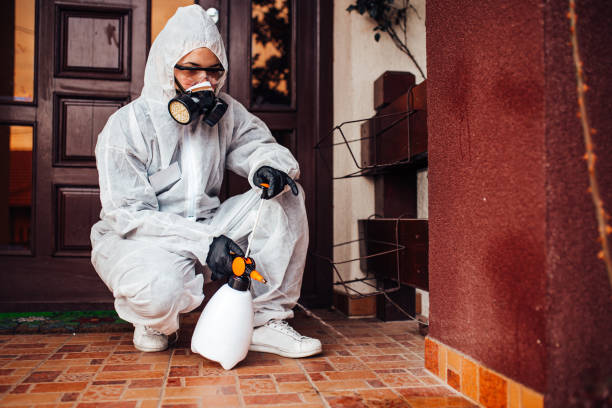Attic and Crawl Space Rodent Treatment in Irwin