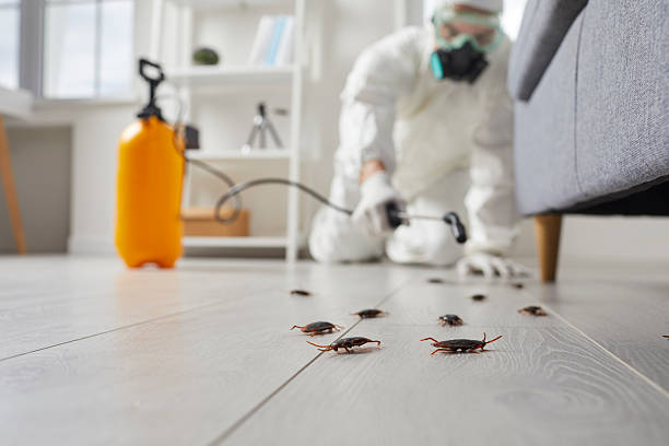 Commercial Rodent Management in Irwin